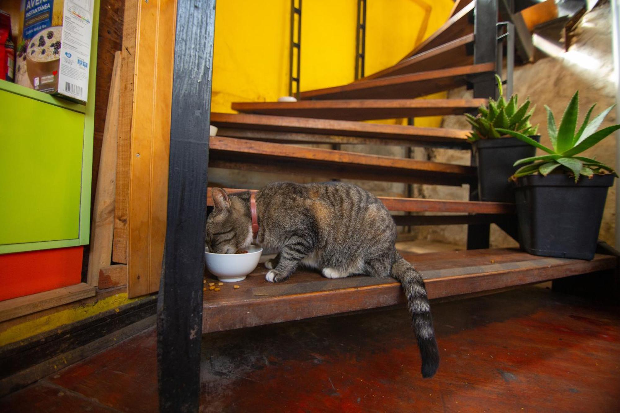 La Casa Del Puerto, Hostal Cultural, Cerro Alegre 발파라이소 외부 사진
