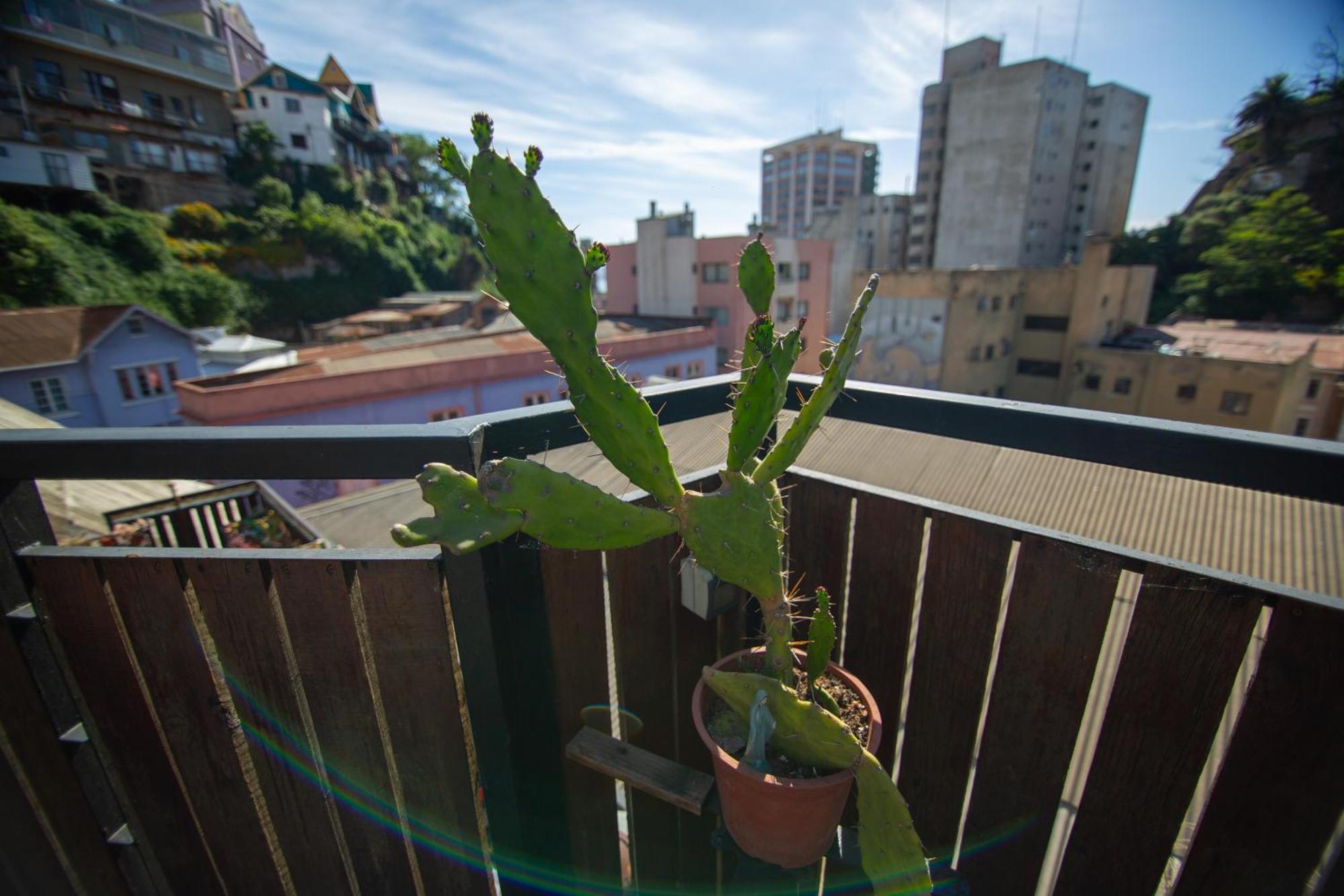 La Casa Del Puerto, Hostal Cultural, Cerro Alegre 발파라이소 외부 사진