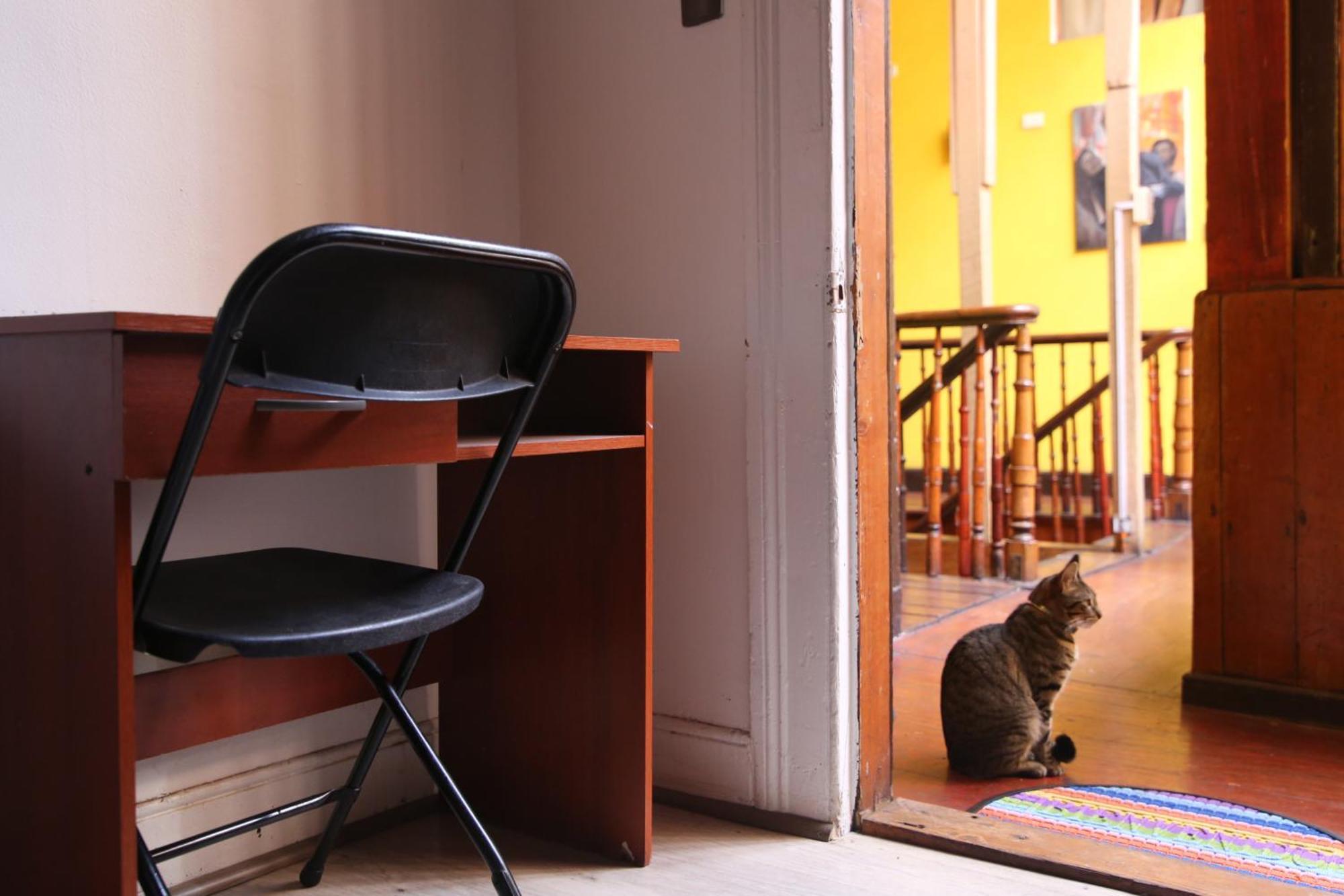 La Casa Del Puerto, Hostal Cultural, Cerro Alegre 발파라이소 외부 사진